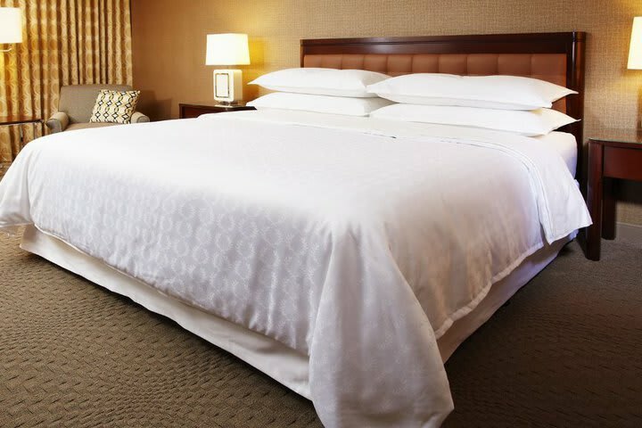Sheraton Suites Near The Galleria Hotel