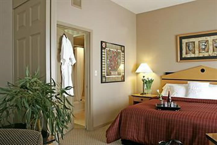 Sheraton Suites Near The Galleria Hotel
