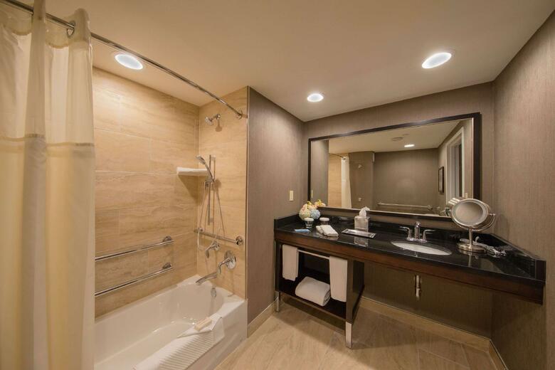 Hotel Hilton Houston Plaza/medical Center