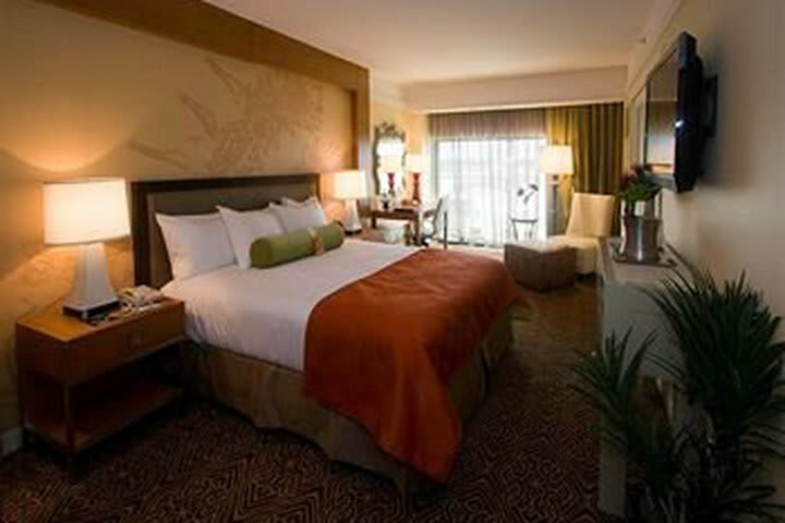 Hotel Hilton University Of Houston