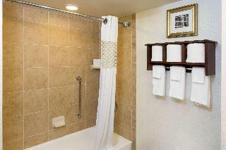 Hotel Hampton Inn Houston Near The Galleria