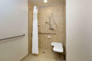 Hotel Hampton Inn Houston Near The Galleria