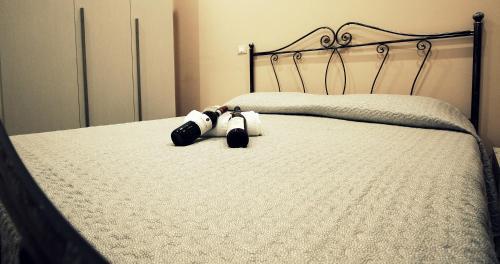 Cielo Stellato B&B