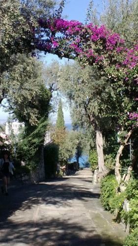 Camping Nube D'argento