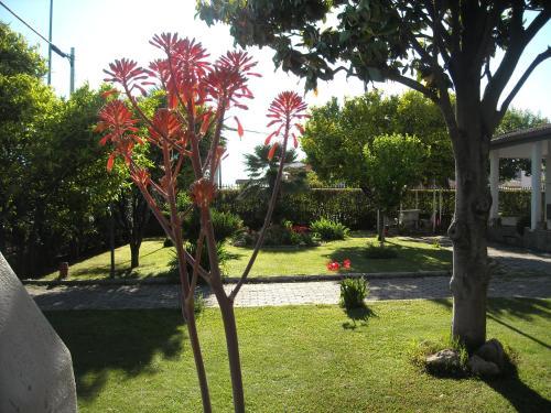 Giardino Degli Aranci B&B