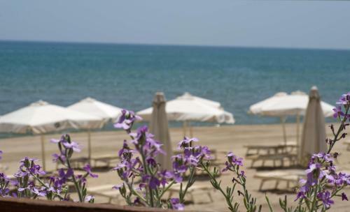 Hotel Alborea Eco Lodge Suites