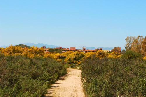 Apartamento Baia Turchese Olbia