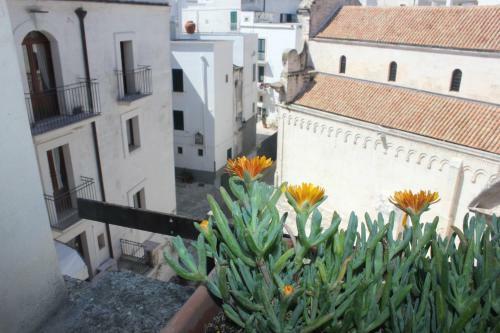 Apartamento Palazzo Dei Gesuiti