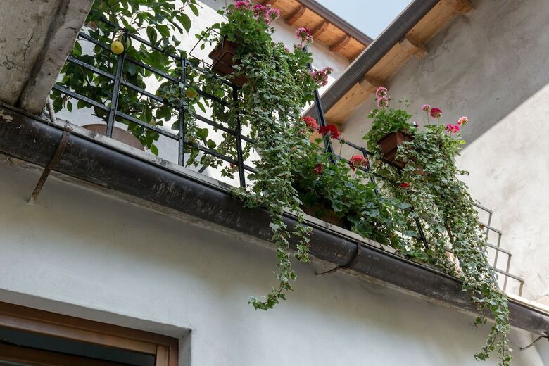 Bed & Breakfast Veronetta House