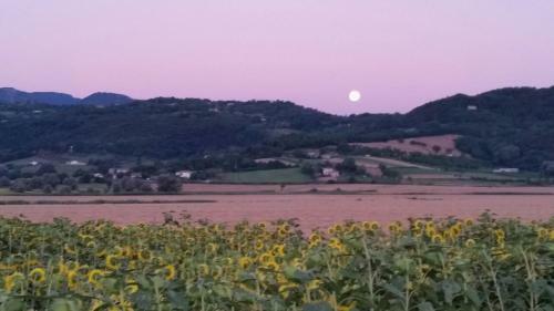 Agroturismo Agriturismo Torrenieri Da Alessandro