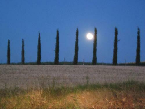 Agroturismo Agriturismo Torrenieri Da Alessandro