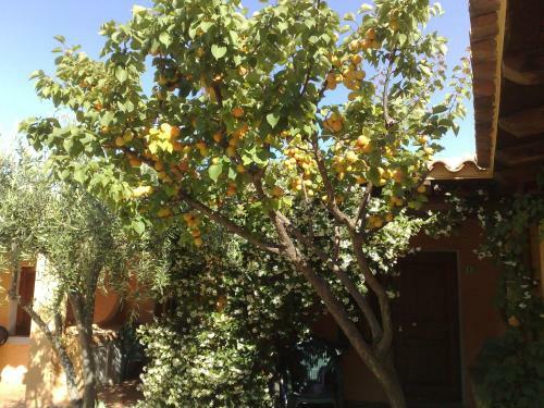 Apartamento Residence La Pineta