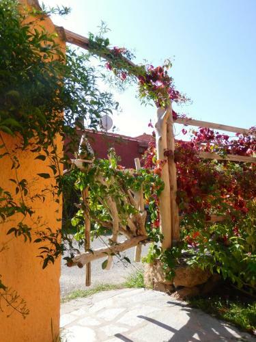Apartamento Residence La Pineta
