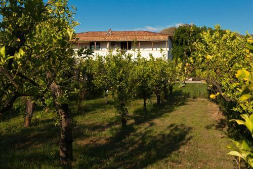 Agroturismo Agriturismo Terrenia