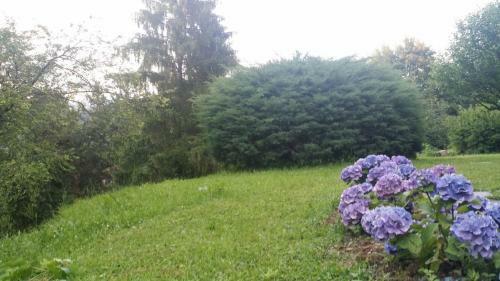 B&B Villa De Hura