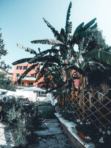 Hotel Terme Zi Carmela