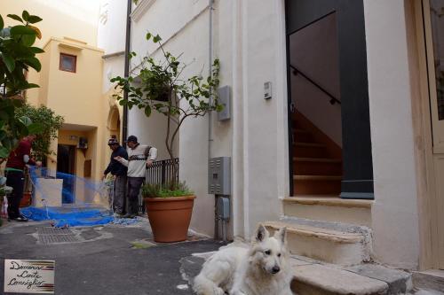 Bed & Breakfast Dimora Corte Consiglio