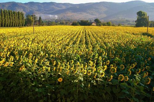 Holiday Home Il Moro Novo