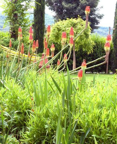 Holiday Home Il Moro Novo