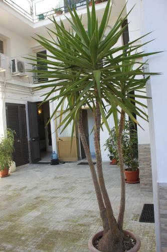 Hostal B&B Reale