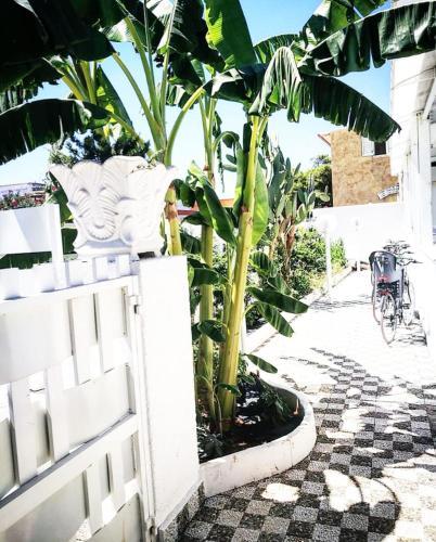 Hostal Casa Lu Salentu