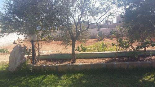 Exclusive Villa Angelica