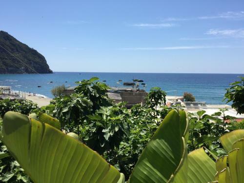 Apartamento Paco Mare Residence