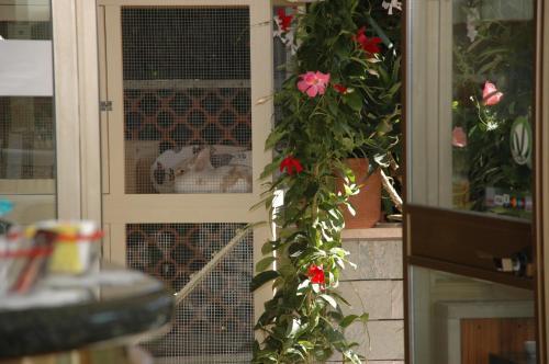Hotel Ristorante La Terrazza