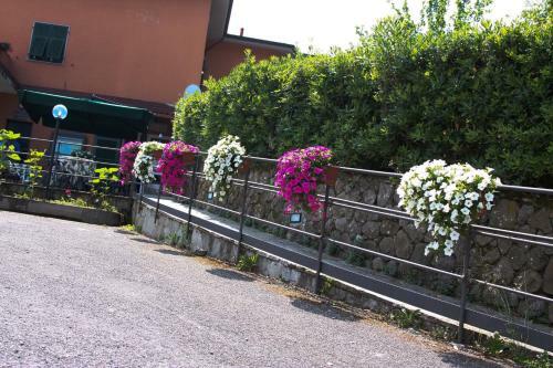 Bed & Breakfast Green Quiet Affittacamere