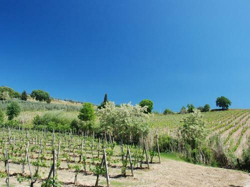 Apartamento Locazione Turistica Holes.3