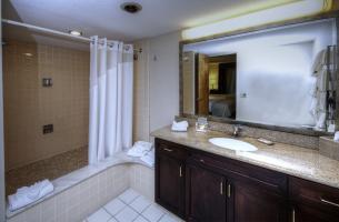 Hotel Holiday Inn Boxborough Woods