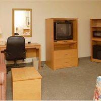 Hotel La Quinta Inn & Suites Tampa East Fairgrounds