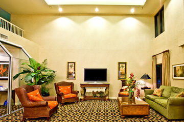 Hotel Holiday Inn Express Tampa/brandon