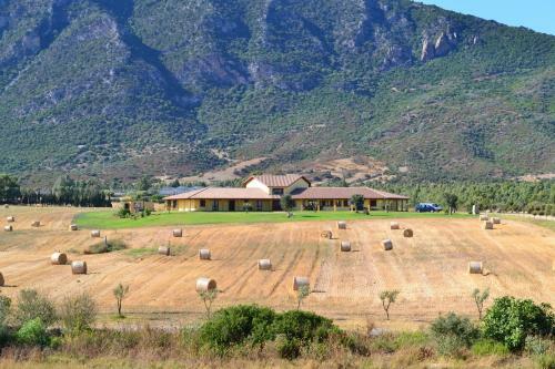 Agroturismo Agriturismo Saludi E Trigu
