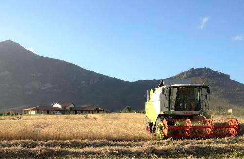 Agroturismo Agriturismo Saludi E Trigu