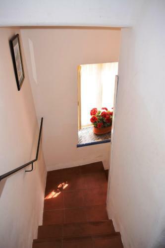 Apartamento Casa Vacanza Alma