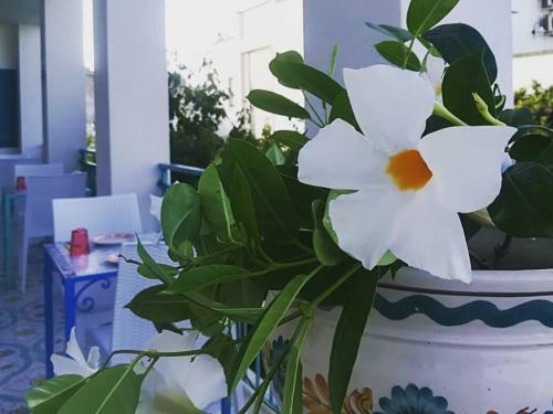 Holiday Home Otranto Vacanza Facile - Borgo