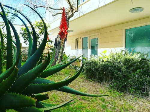 Holiday Home Otranto Vacanza Facile - Borgo