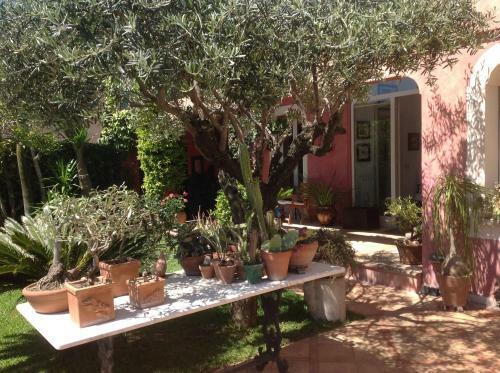 Bed & Breakfast Rocca Castello