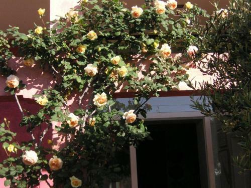 Bed & Breakfast Rocca Castello