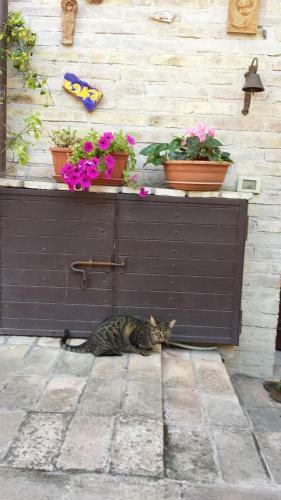 B&B La Casuccia Di Assisi