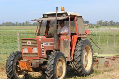 Agroturismo Podere Del Gesso