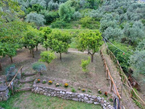 Apartamento Gli Ulivi 2