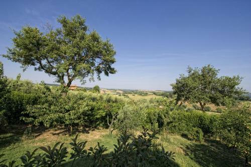 Agroturismo Agriturismo I Roseti