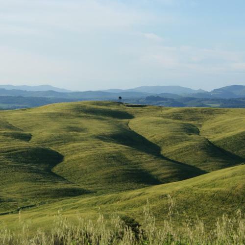 Agroturismo Agriturismo I Roseti