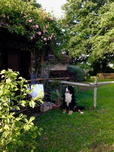 Bed And Breakfast Dopo Il Settimo Cielo