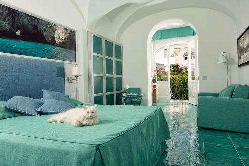 Hotel Albergo Gatto Bianco