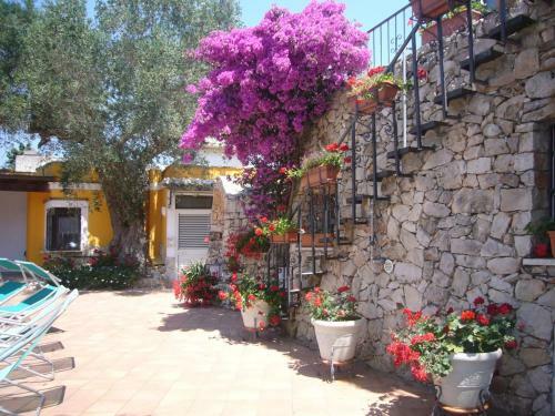 Aparthotel Villa Vacanze Paradiso