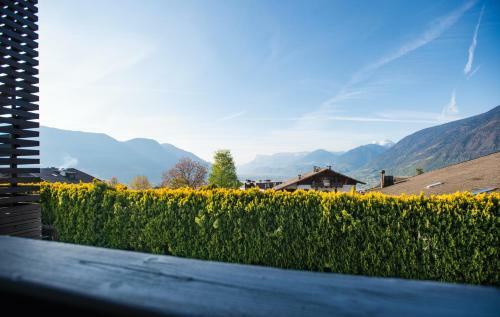 Hotel Turmwies