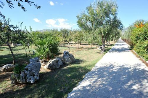 Apartamento Case Vacanze L'uliveto
